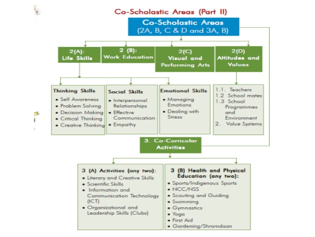 co-scholastic-area